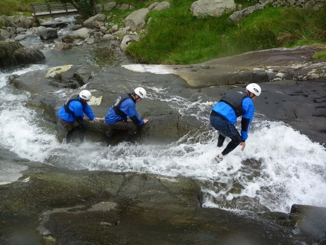 Making their way upstream